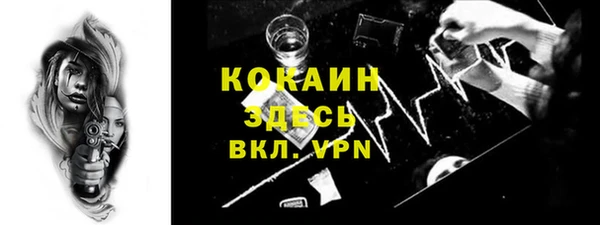 ГАЛЛЮЦИНОГЕННЫЕ ГРИБЫ Горно-Алтайск