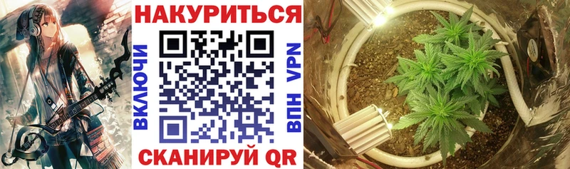 закладки  Джанкой  Шишки марихуана план 